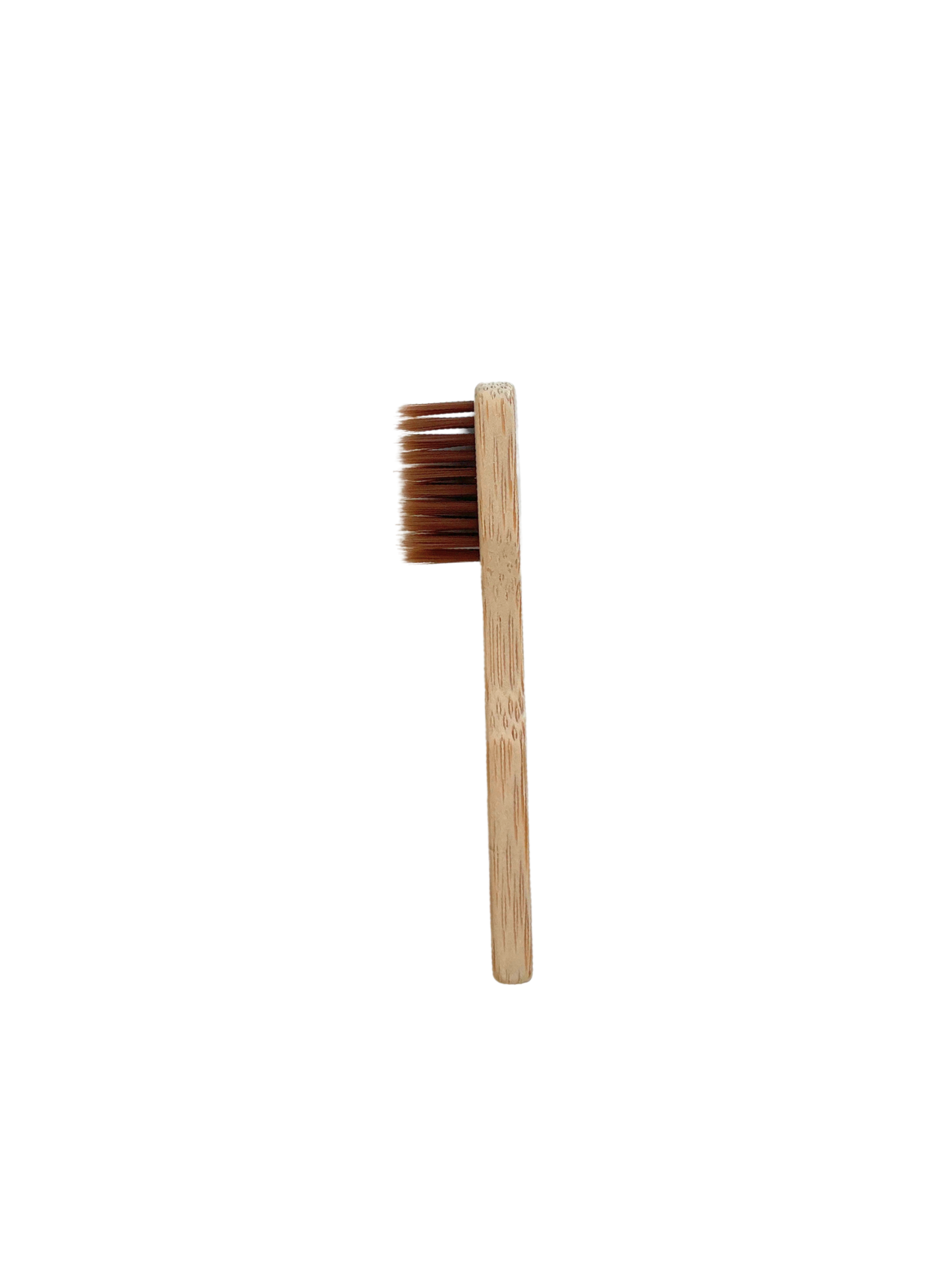 Brosse préfiltre ORISA®